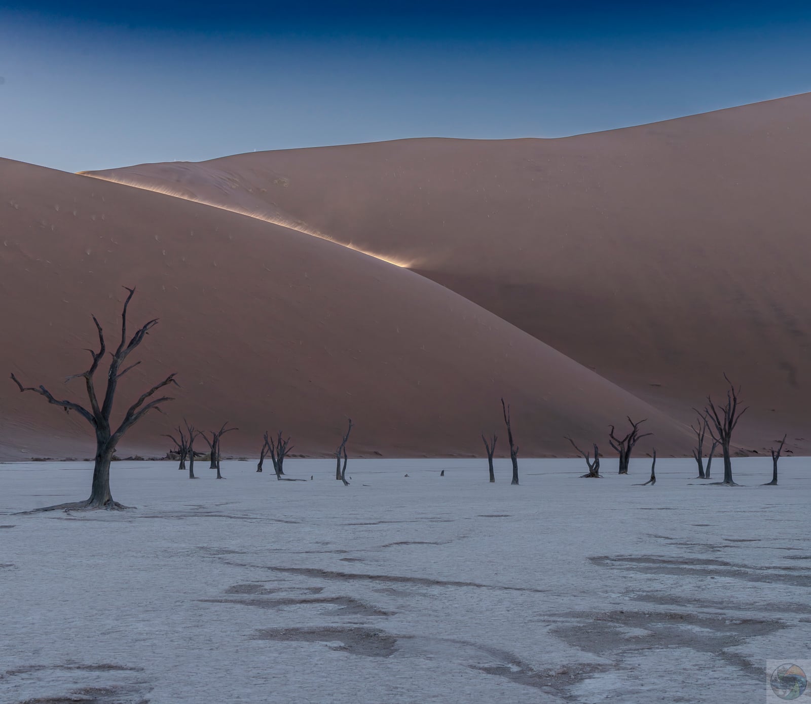 Deadvlei at Dawn II