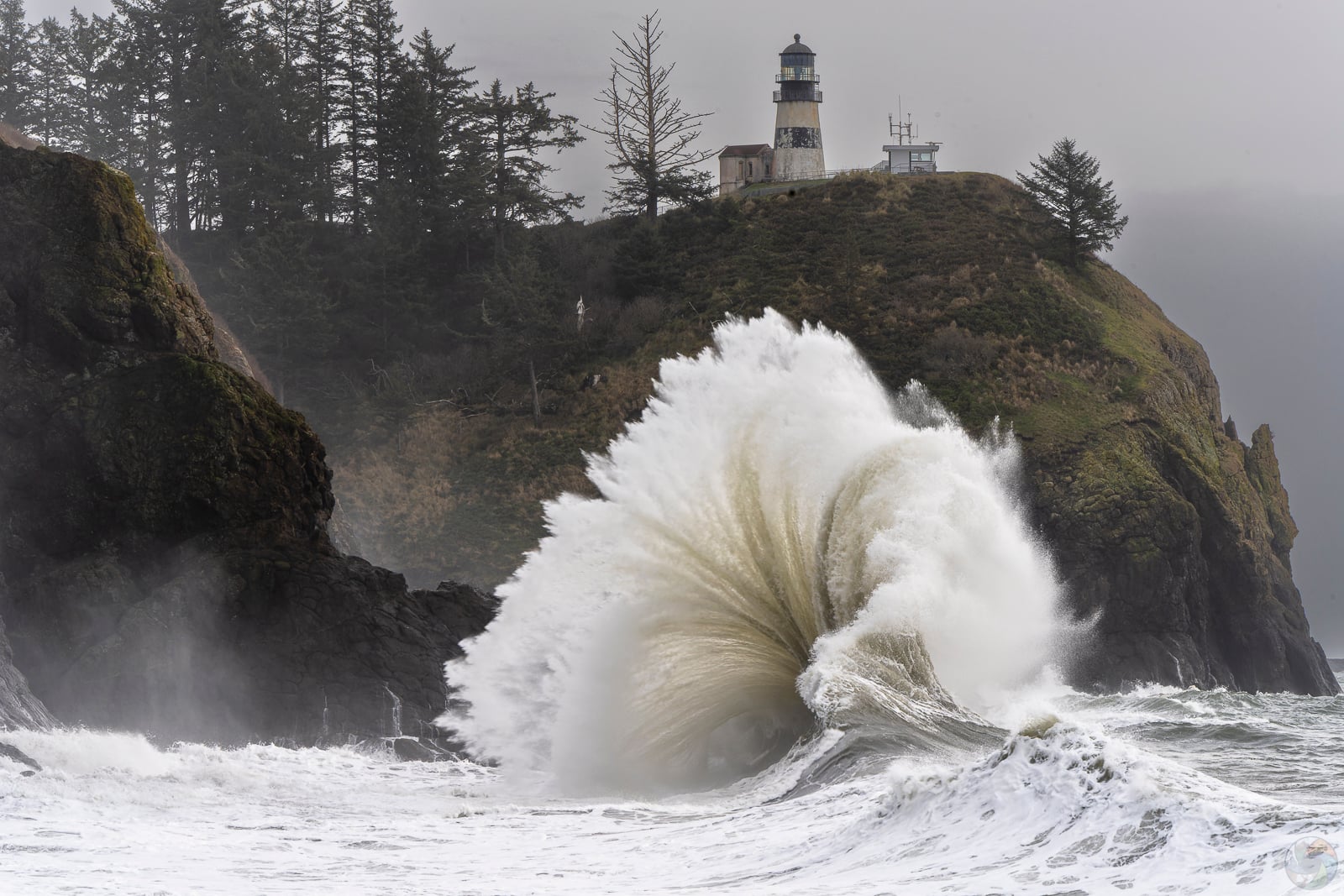 Disappointment Wave III